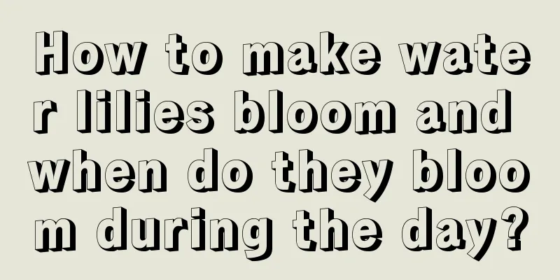 How to make water lilies bloom and when do they bloom during the day?