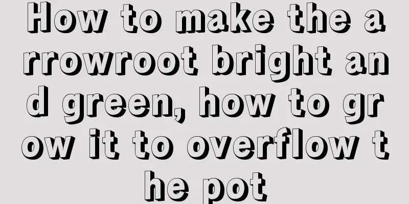 How to make the arrowroot bright and green, how to grow it to overflow the pot