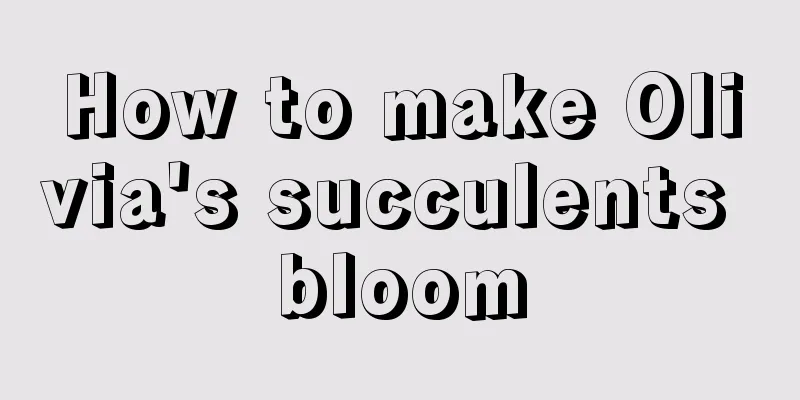 How to make Olivia's succulents bloom