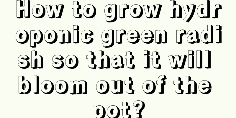 How to grow hydroponic green radish so that it will bloom out of the pot?