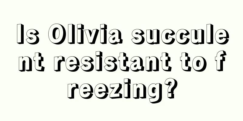 Is Olivia succulent resistant to freezing?