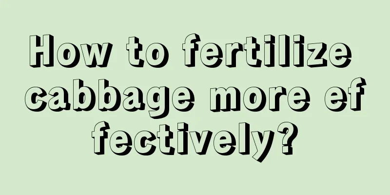 How to fertilize cabbage more effectively?