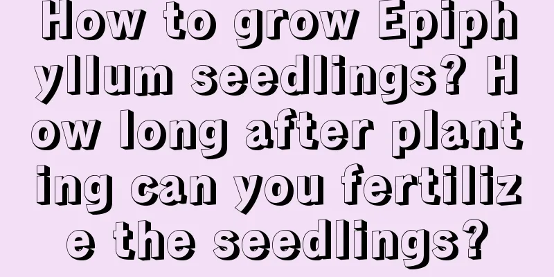 How to grow Epiphyllum seedlings? How long after planting can you fertilize the seedlings?