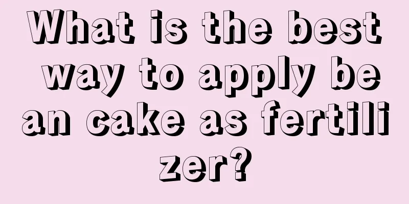 What is the best way to apply bean cake as fertilizer?