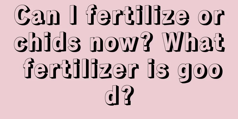 Can I fertilize orchids now? What fertilizer is good?