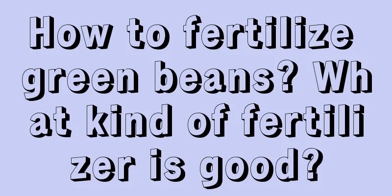 How to fertilize green beans? What kind of fertilizer is good?