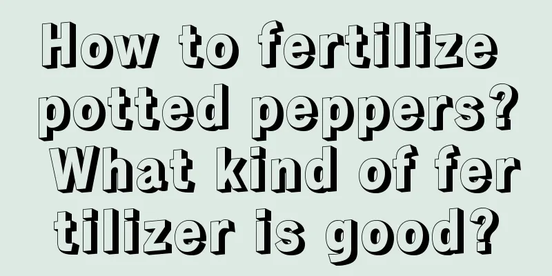 How to fertilize potted peppers? What kind of fertilizer is good?