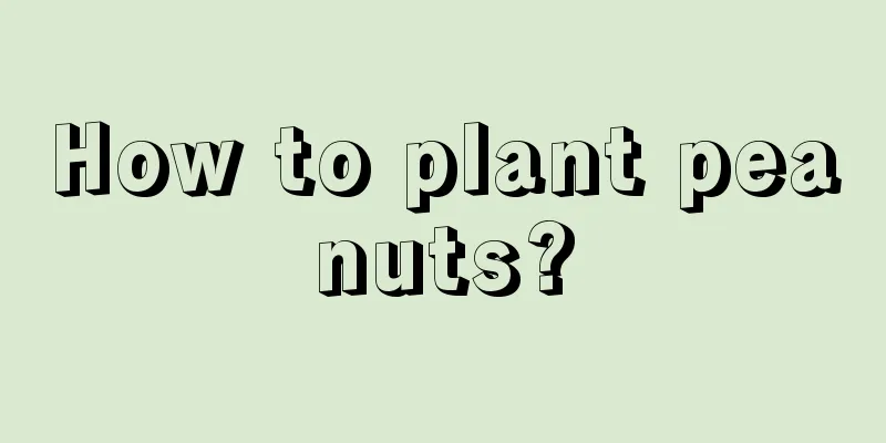 How to plant peanuts?