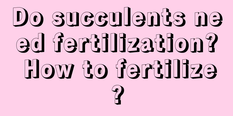 Do succulents need fertilization? How to fertilize?