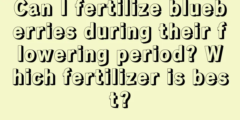 Can I fertilize blueberries during their flowering period? Which fertilizer is best?