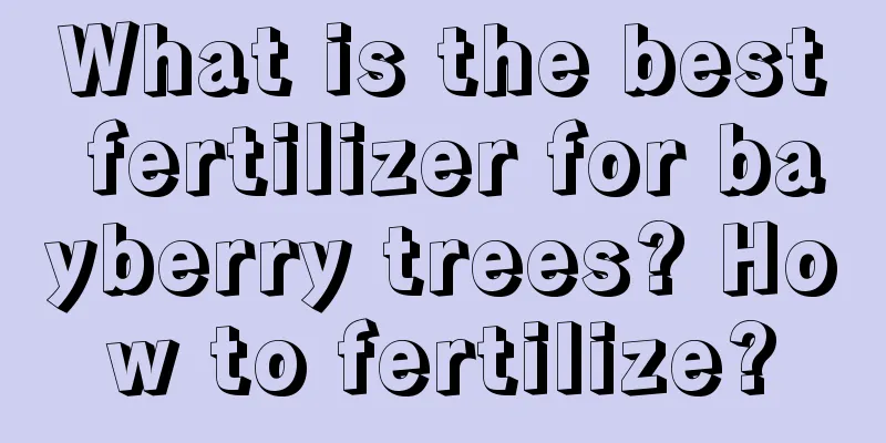 What is the best fertilizer for bayberry trees? How to fertilize?