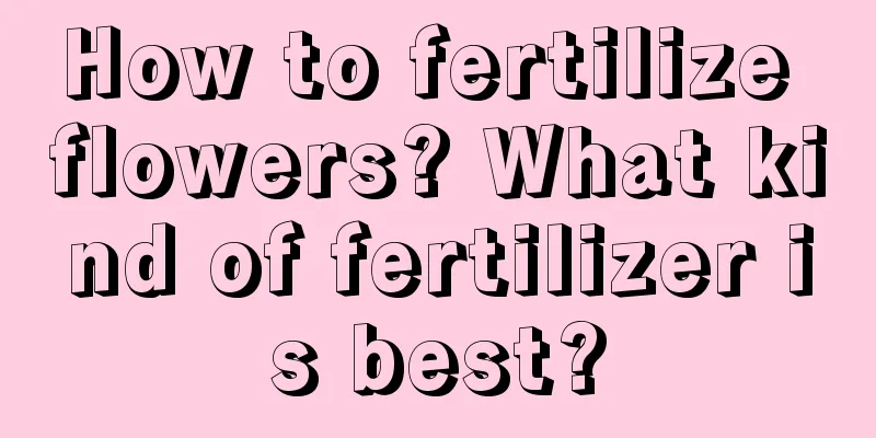 How to fertilize flowers? What kind of fertilizer is best?