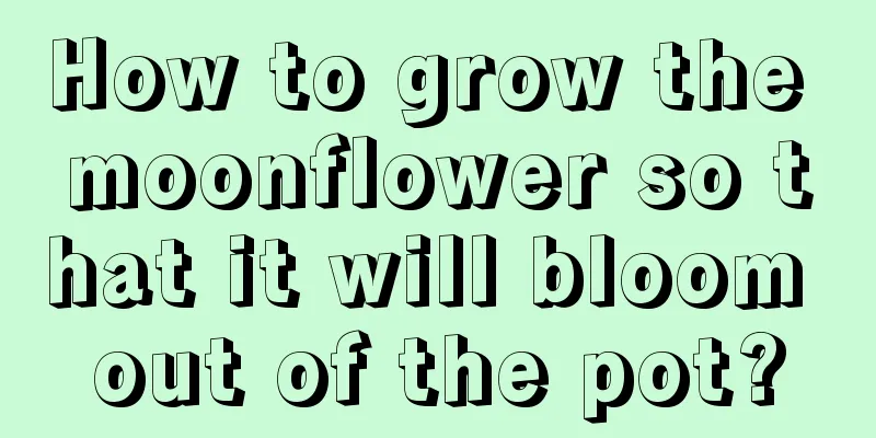 How to grow the moonflower so that it will bloom out of the pot?