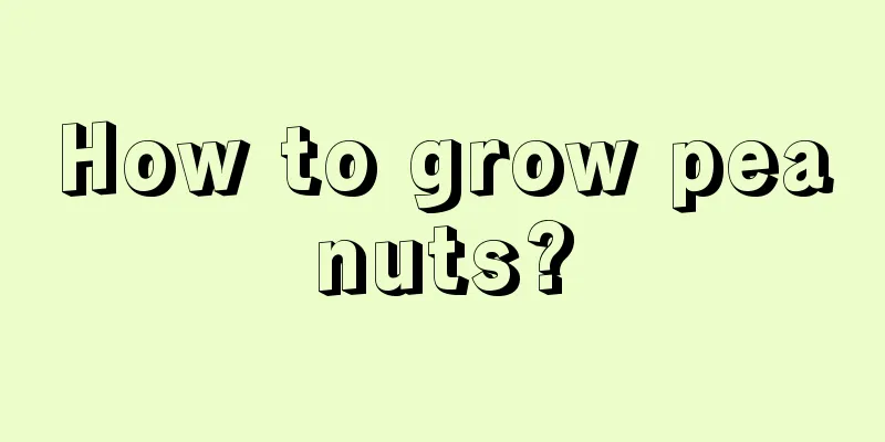 How to grow peanuts?