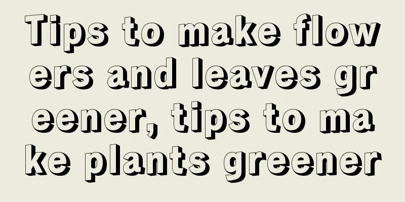 Tips to make flowers and leaves greener, tips to make plants greener