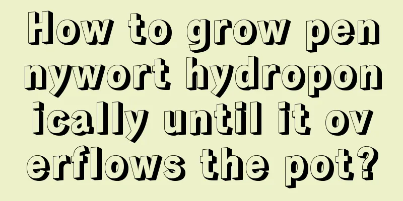 How to grow pennywort hydroponically until it overflows the pot?