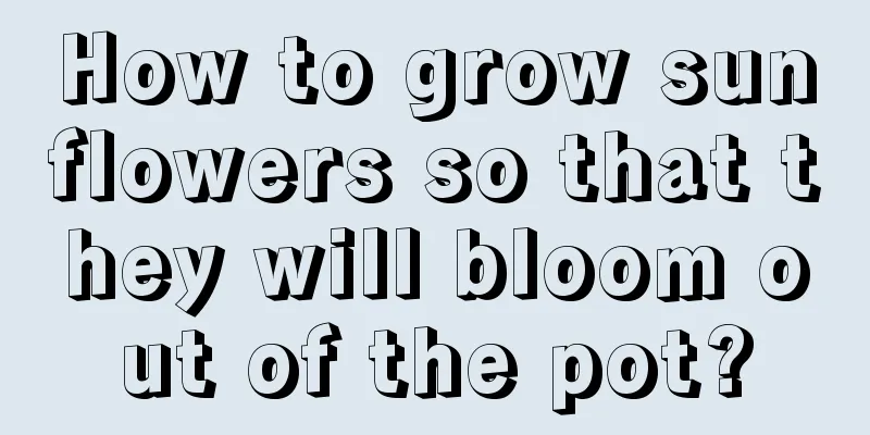 How to grow sunflowers so that they will bloom out of the pot?