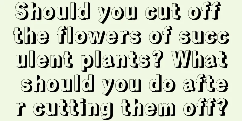 Should you cut off the flowers of succulent plants? What should you do after cutting them off?