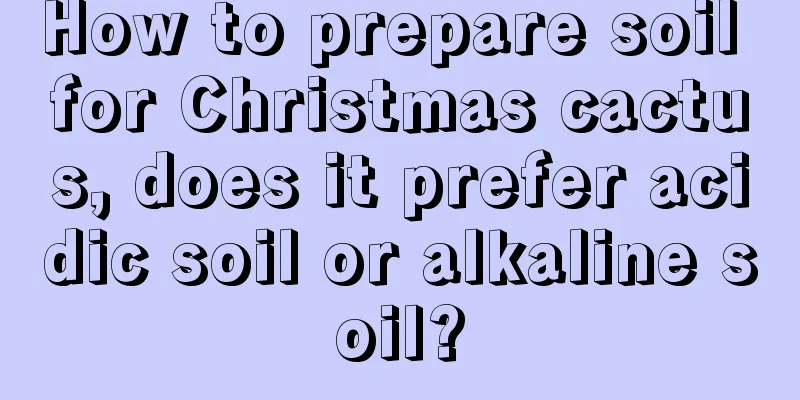 How to prepare soil for Christmas cactus, does it prefer acidic soil or alkaline soil?