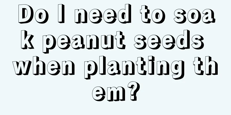 Do I need to soak peanut seeds when planting them?