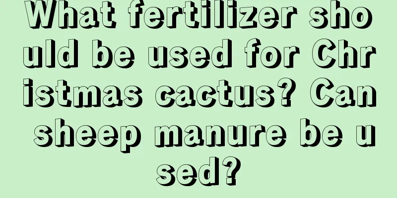 What fertilizer should be used for Christmas cactus? Can sheep manure be used?