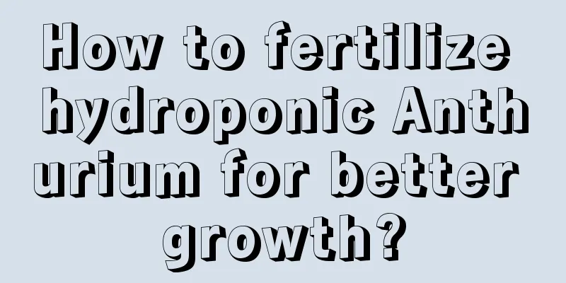 How to fertilize hydroponic Anthurium for better growth?