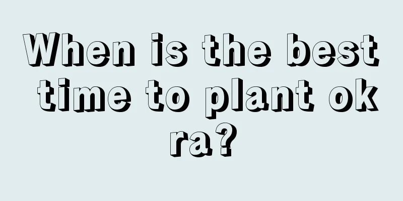 When is the best time to plant okra?