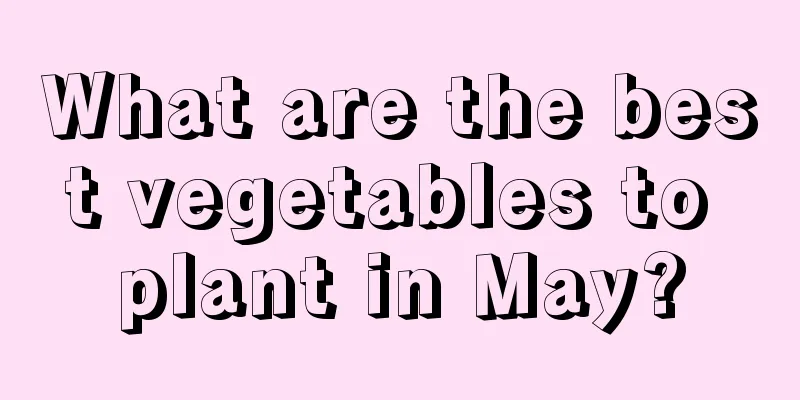 What are the best vegetables to plant in May?