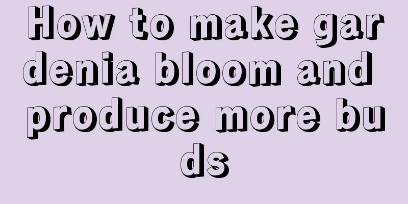 How to make gardenia bloom and produce more buds