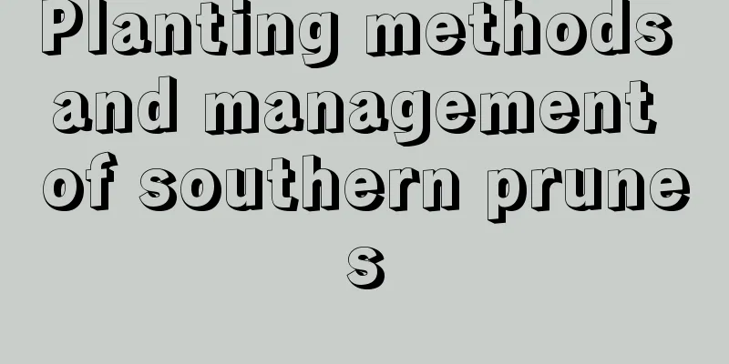 Planting methods and management of southern prunes