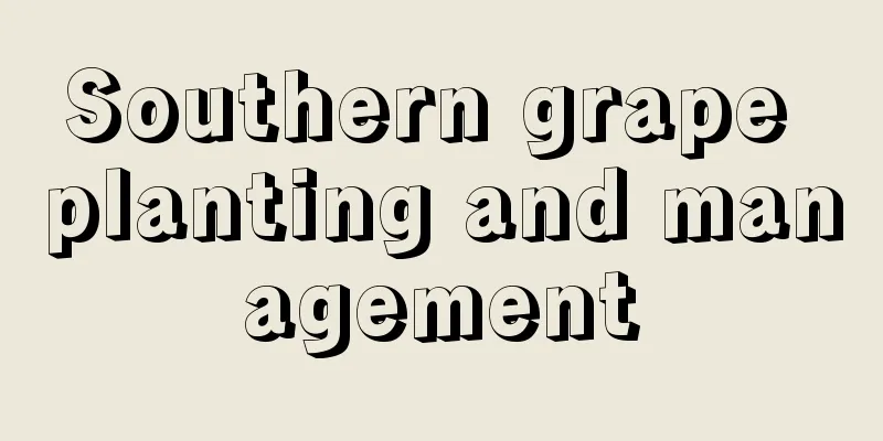 Southern grape planting and management