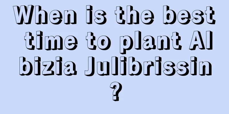 When is the best time to plant Albizia Julibrissin?