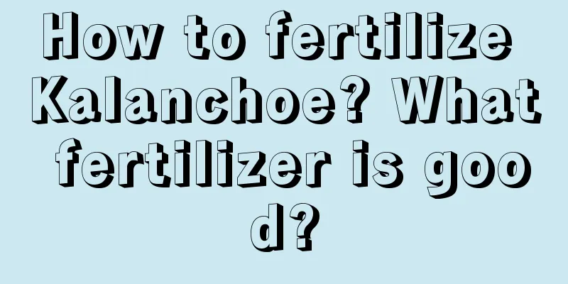 How to fertilize Kalanchoe? What fertilizer is good?