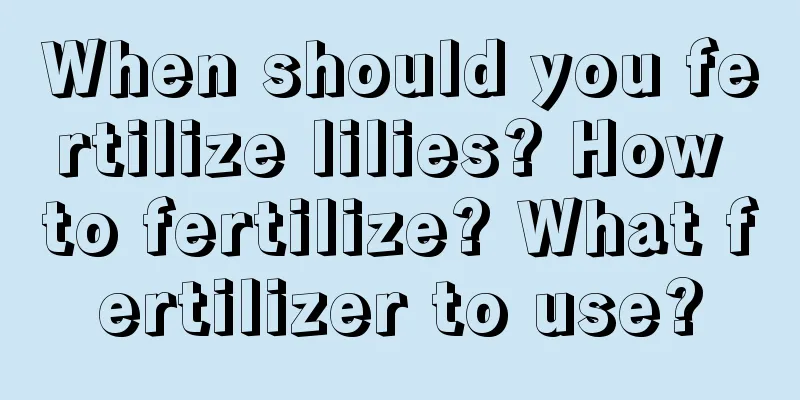 When should you fertilize lilies? How to fertilize? What fertilizer to use?