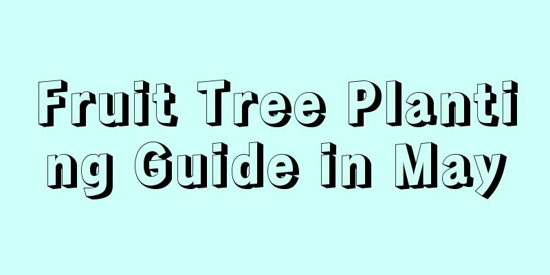 Fruit Tree Planting Guide in May