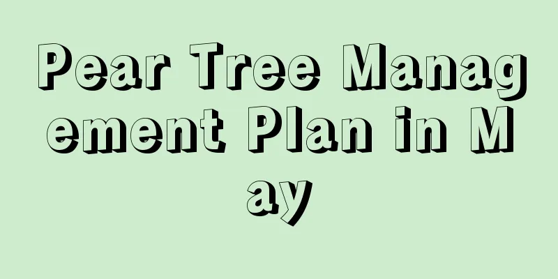 Pear Tree Management Plan in May