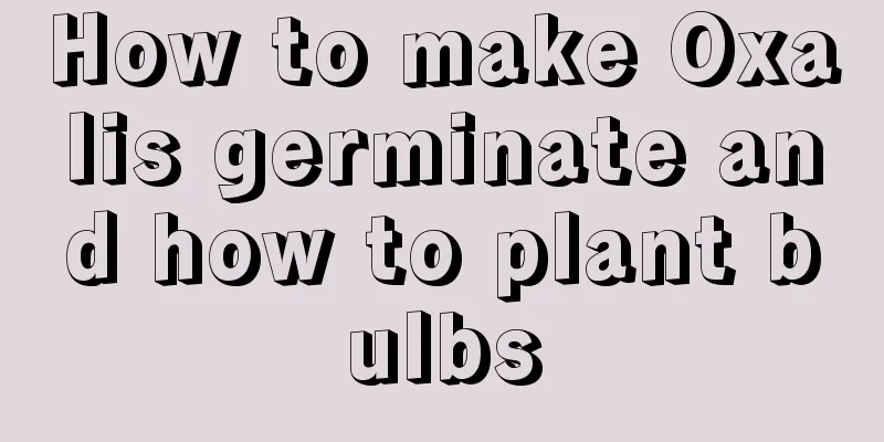 How to make Oxalis germinate and how to plant bulbs