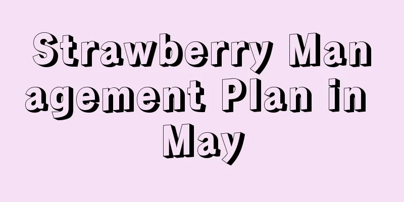 Strawberry Management Plan in May