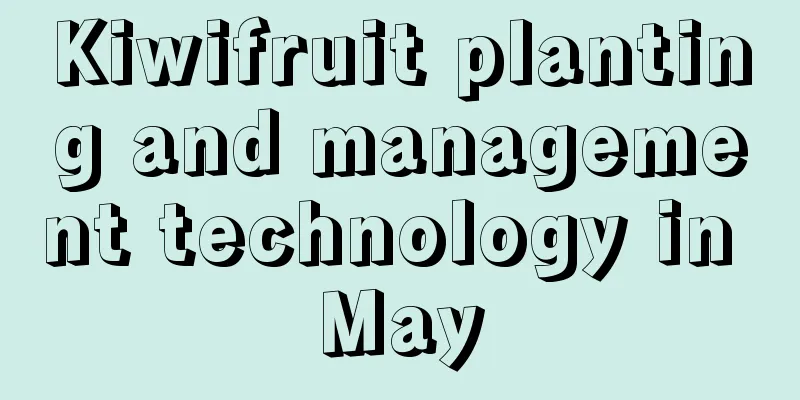 Kiwifruit planting and management technology in May