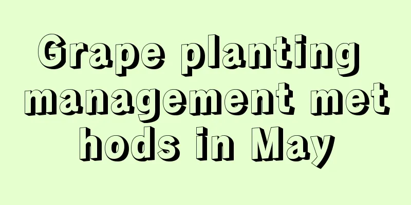 Grape planting management methods in May