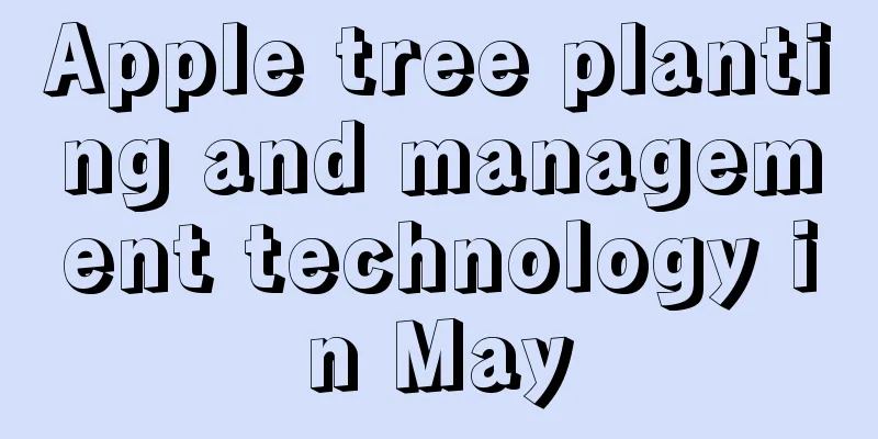 Apple tree planting and management technology in May