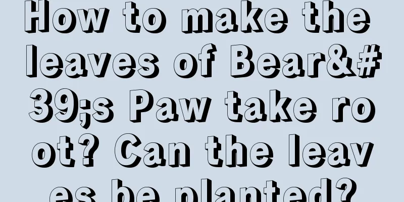 How to make the leaves of Bear's Paw take root? Can the leaves be planted?