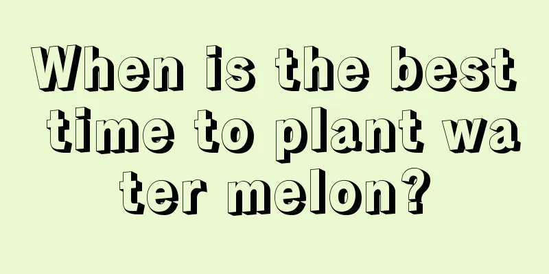 When is the best time to plant water melon?