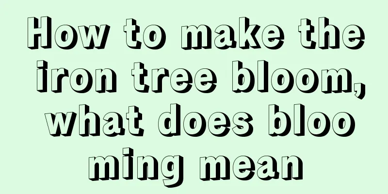 How to make the iron tree bloom, what does blooming mean