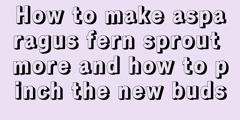 How to make asparagus fern sprout more and how to pinch the new buds