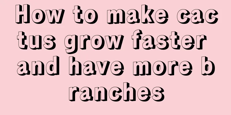 How to make cactus grow faster and have more branches