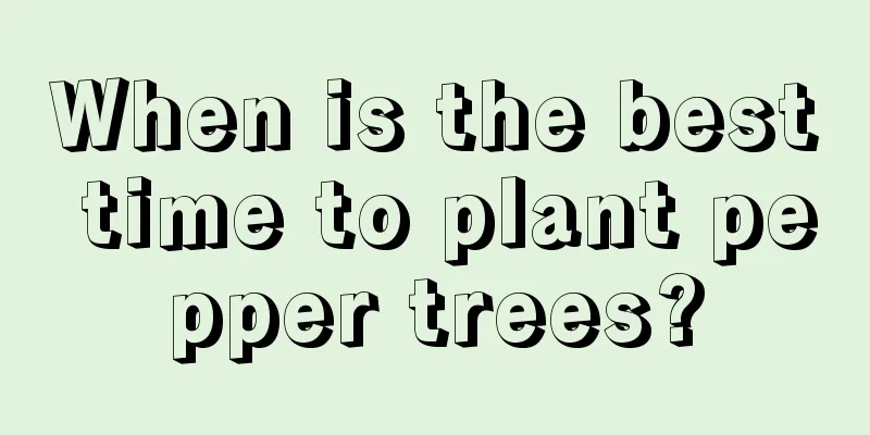 When is the best time to plant pepper trees?