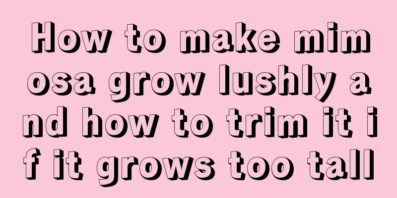 How to make mimosa grow lushly and how to trim it if it grows too tall