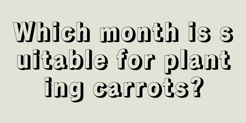 Which month is suitable for planting carrots?