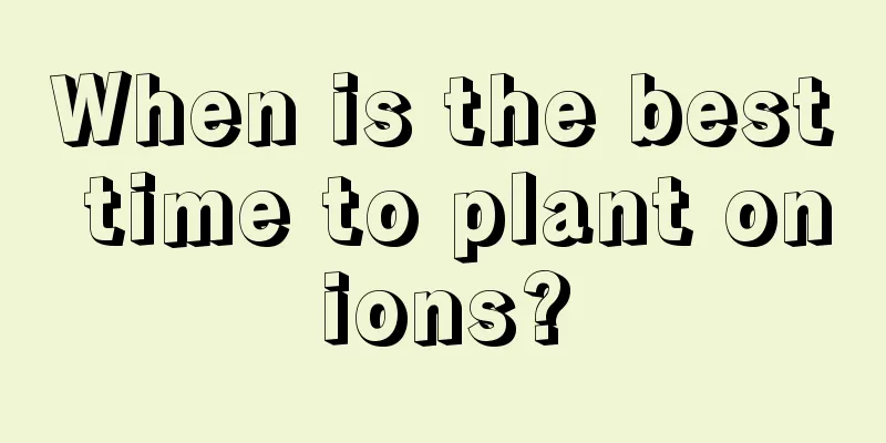 When is the best time to plant onions?